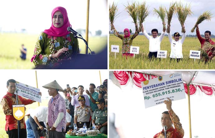 Senator DPD Tegaskan Komitmen Kementan Dukung Kepentingan Petani